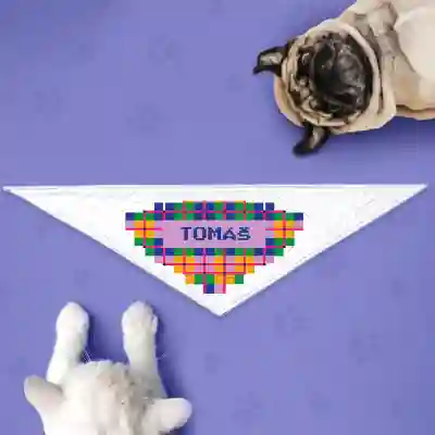 Šátky pro psa - Kostkované a barevné
