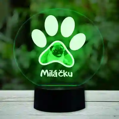 Personalizovaná LED lampa - Váš domácí mazlíček