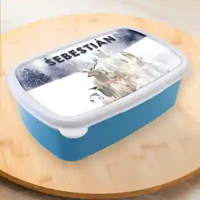 Personalizovaný lunchbox - Polar zone