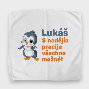 Ručníky ke krabičkám na oběd