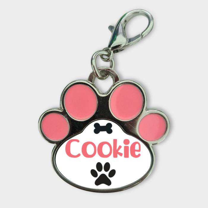 Přizpůsobený přívěsek pro zvířata - S jménem