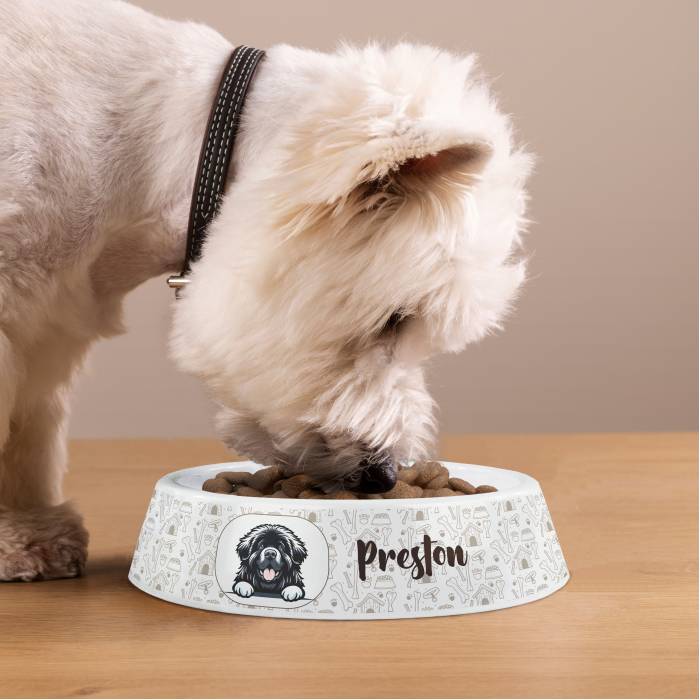 Personalizovaná plastová miska pro psy - Plemeno psa