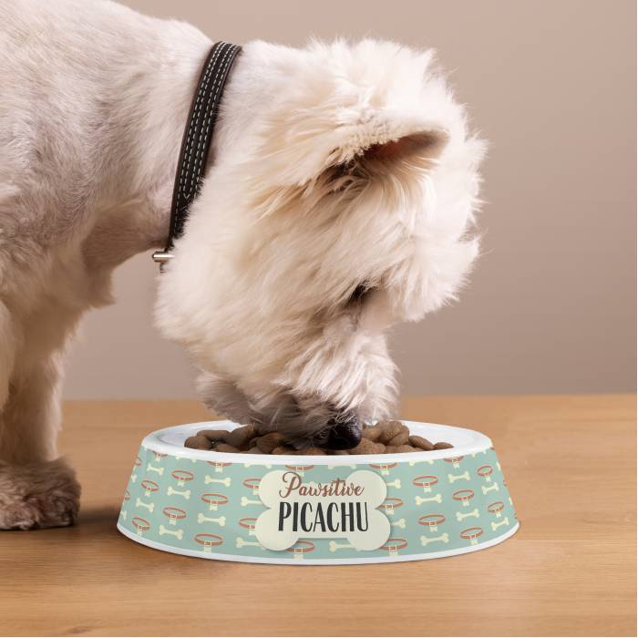 Personalizovaná plastová miska pro psy - Packa pozitivně