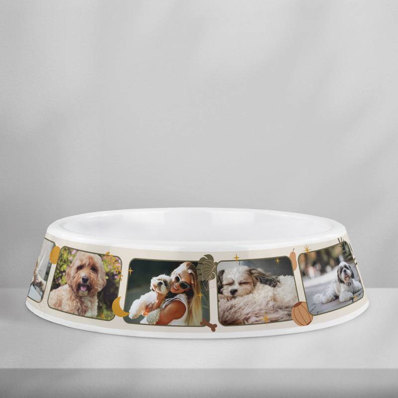 Personalizovaná plastová miska pro psy – Fotokoláž