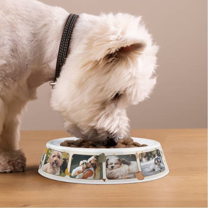 Personalizovaná plastová miska pro psy – Fotokoláž