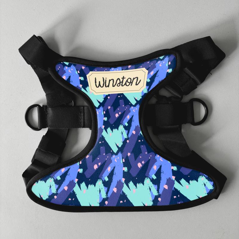 Personalizovaný postroj pro psy - Se jménem