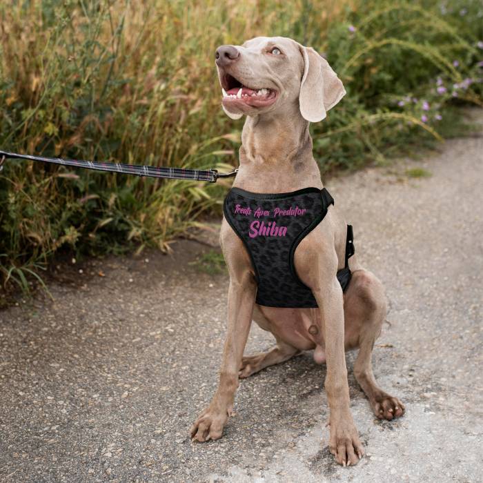 Personalizovaný postroj pro psy - Predátor