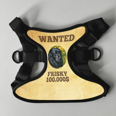 Personalizovaný postroj pro psy - Wanted