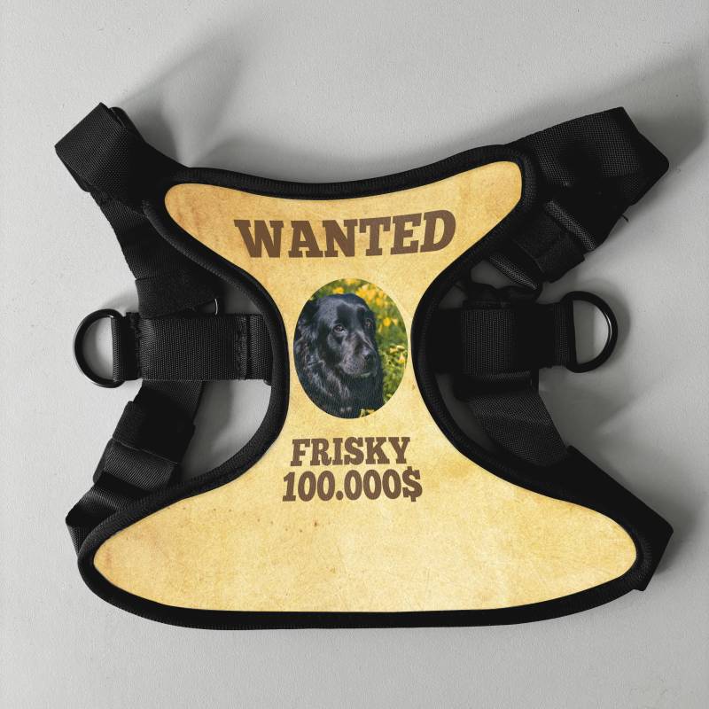 Personalizovaný postroj pro psy - Wanted