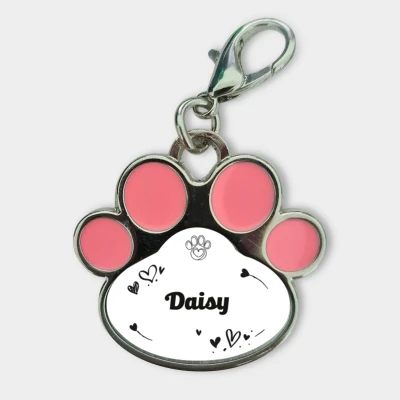 Přizpůsobený přívěsek pro zvířata - Gravírováno se jménem zvířete