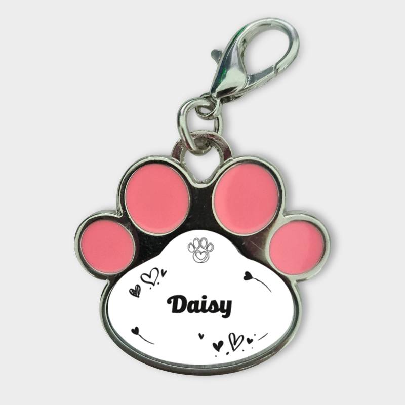 Přizpůsobený přívěsek pro zvířata - Gravírováno se jménem zvířete