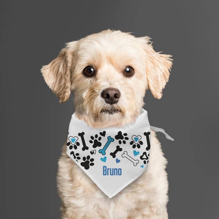 Bandana pro psa - Kosti