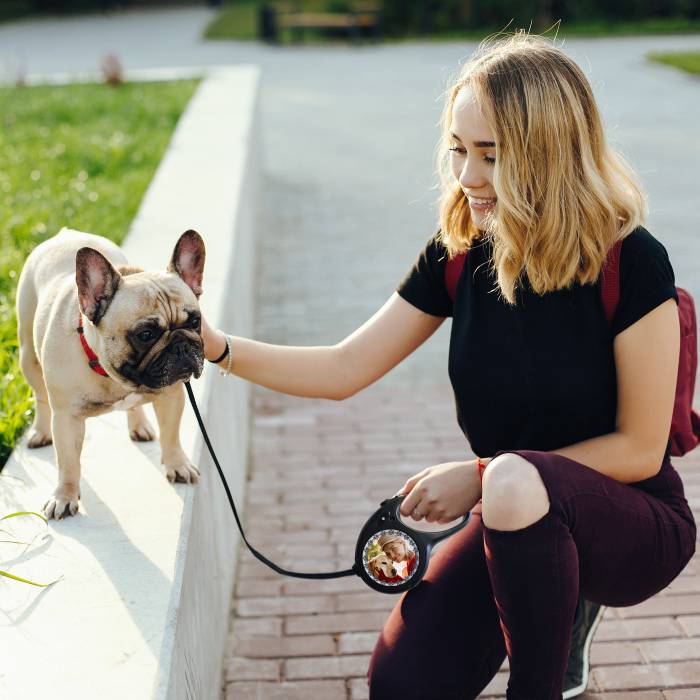 Vodítko pro psa - S telefonním číslem