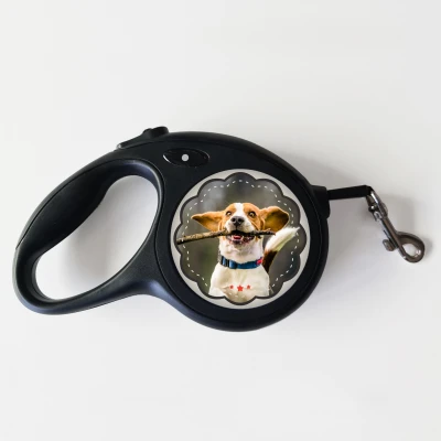 Vodítko pro psa – Vše, co potřebujete