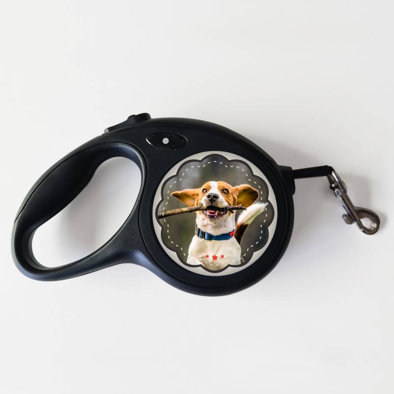 Vodítko pro psa – Vše, co potřebujete