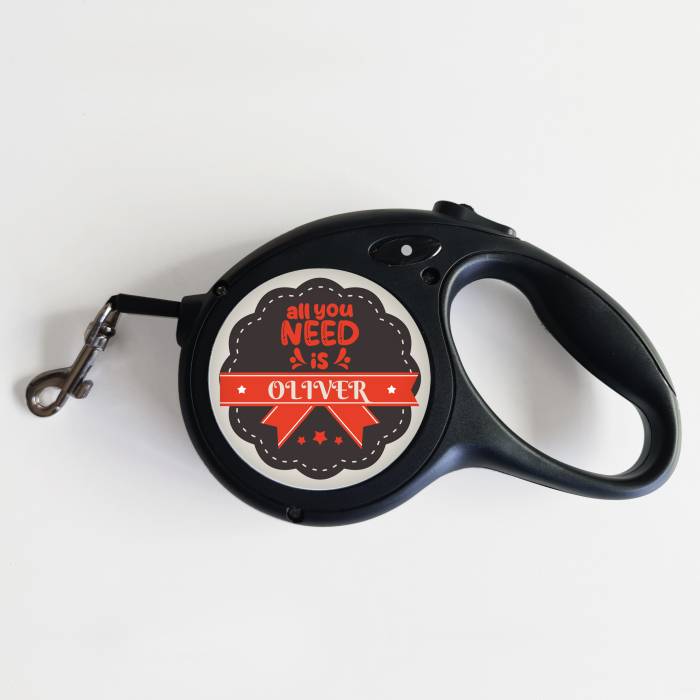 Vodítko pro psa – Vše, co potřebujete