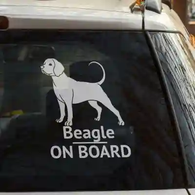 Samolepky na auto Beagle