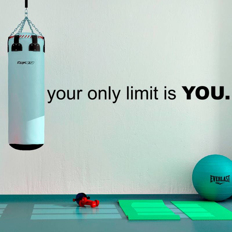 Samolepka Your only limit is you